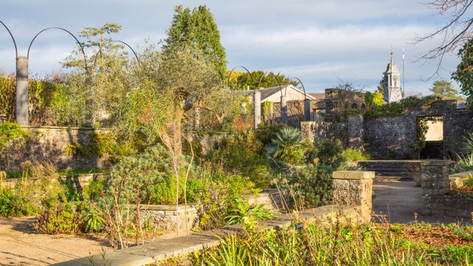 The Exotics Garden at Dyffryn Gardens in the Vale of Glamorgan during winter